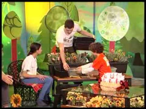 კომპოსტი - Compost - გადაცემა \'ეკოვიზია\' - 'Ecovision' TV Show